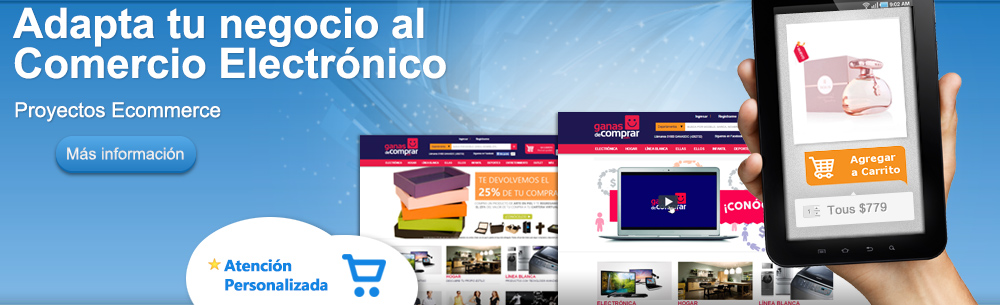 Paginas Web Guadalajara, Diseño Web Guadalajara, Diseño de Paginas Web Guadalajara