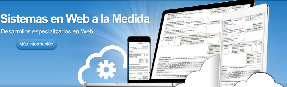 Sistemas Web A La Medida en Guadalajara