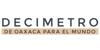 Agencia E-Commerce y Marketing Digital México